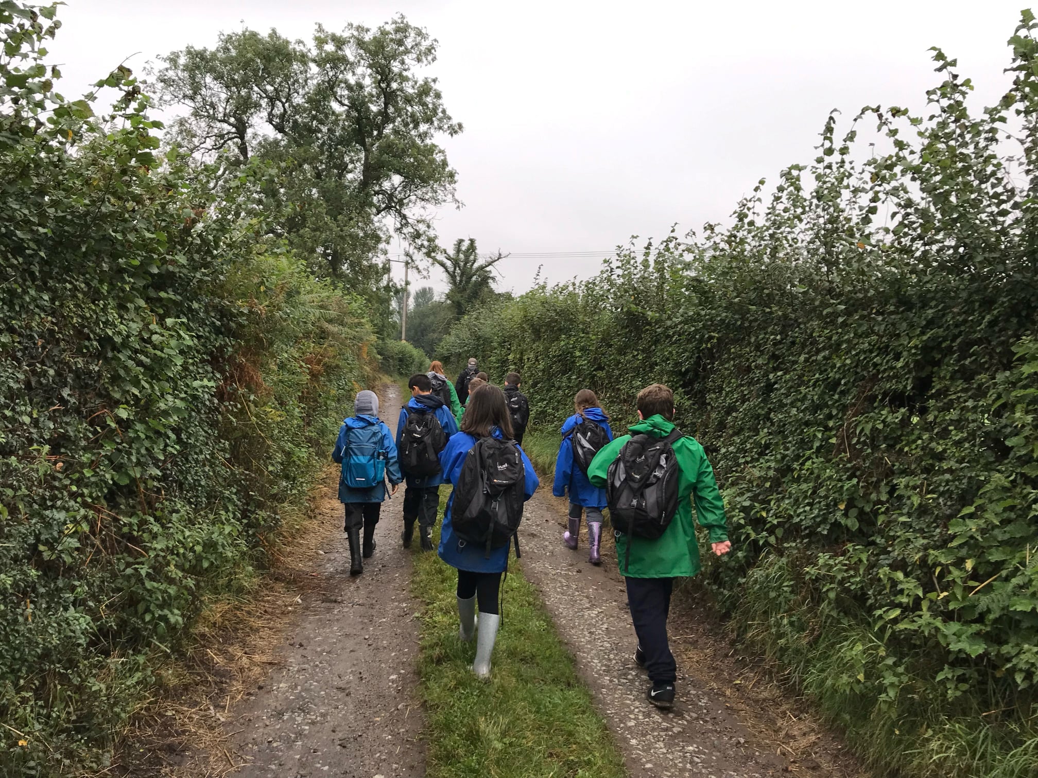 Year 6 Laches Wood Adventure